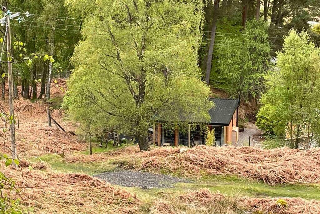 Coorie Doon Cabin! Great Scottish Welcome حصن أوغسطس المظهر الخارجي الصورة
