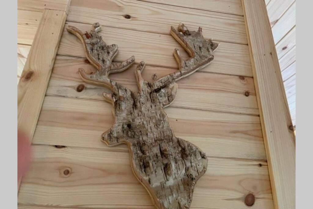 Coorie Doon Cabin! Great Scottish Welcome حصن أوغسطس المظهر الخارجي الصورة